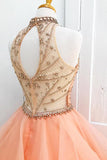 Chic A-Line Halter Open Back Sleeveless Pearl Pink Beading Tulle Modest Long Prom Dresses